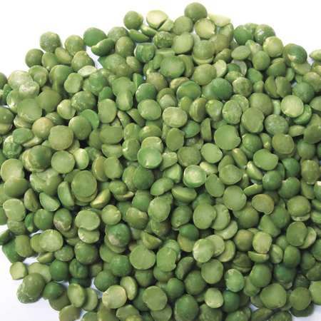 JACK RABBIT Jack Rabbit Split Pea Bean Green 25lbs 189365450